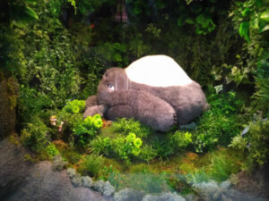 伊豆テディベアミュージアムの寝ているトトロ